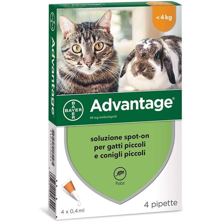 Bayer Advantage 40 mg Per Gatto fino a 4 kg 4 Pipette Antiparassitario