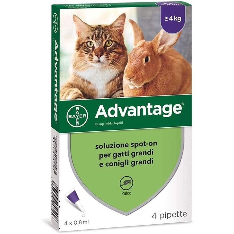 Bayer Advantage 80 mg Per Gatto oltre 4 kg 4 Pipette Antiparassitario
