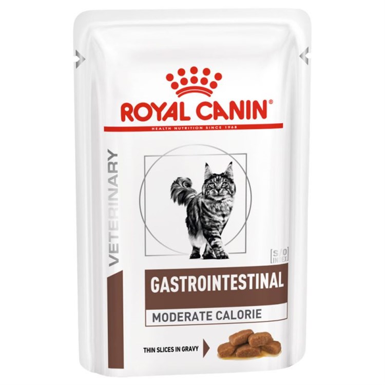 Royal Canin Gastro Intestinal Moderate Calorie Umido 85 gr Cibo Dietetico Gatto
