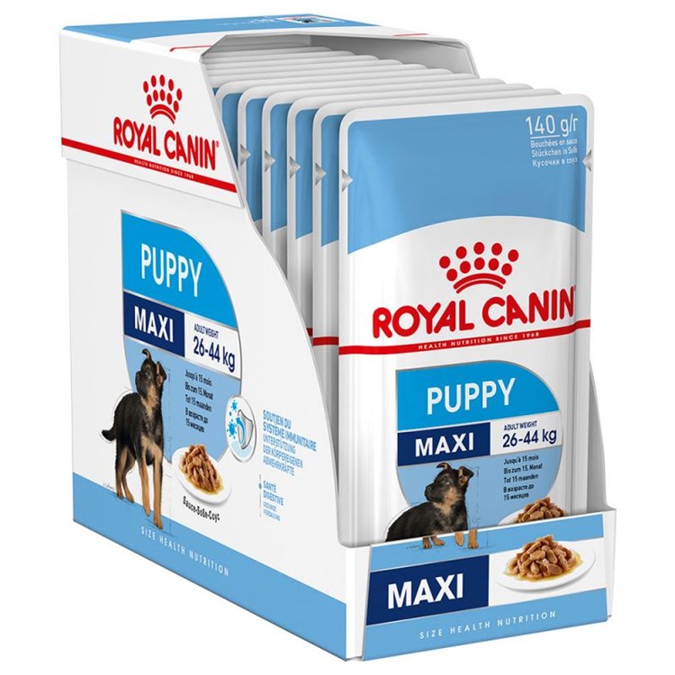 Royal Canin Maxi Puppy 140 Gr Busta In Salsa Umido Per Cane