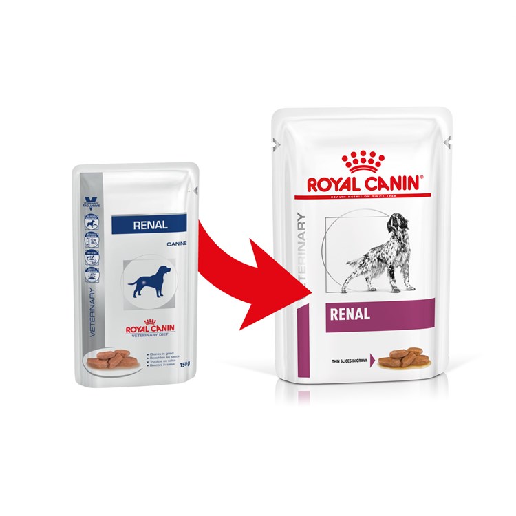 Royal Canin Veterinary Diet Dog Renal Busta 100 gr Umido Cane